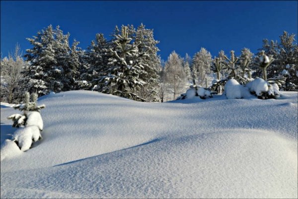 Чистый белый снег