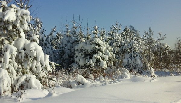 Умеренный снег