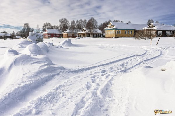 Снег в селе