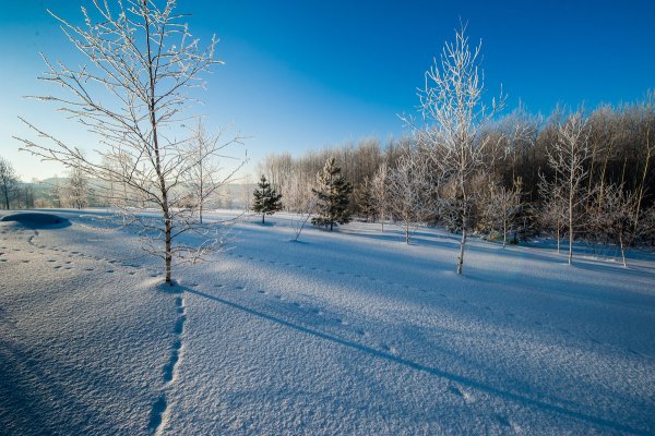 Самый чистый снег