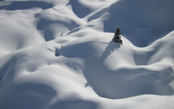 Снежный холмик