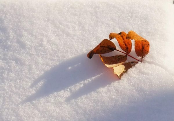 Легкий снег