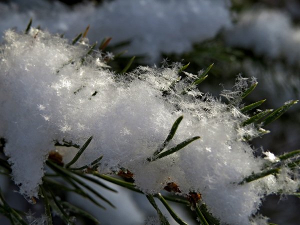 Искрящийся снег