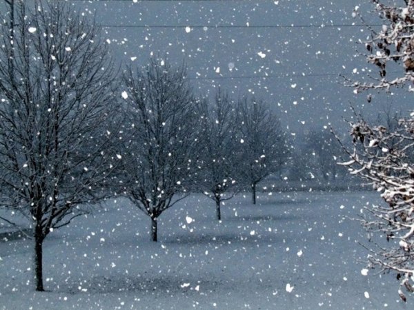 Легкий снегопад