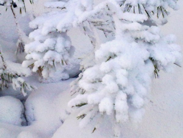 Просто картинки со снегом