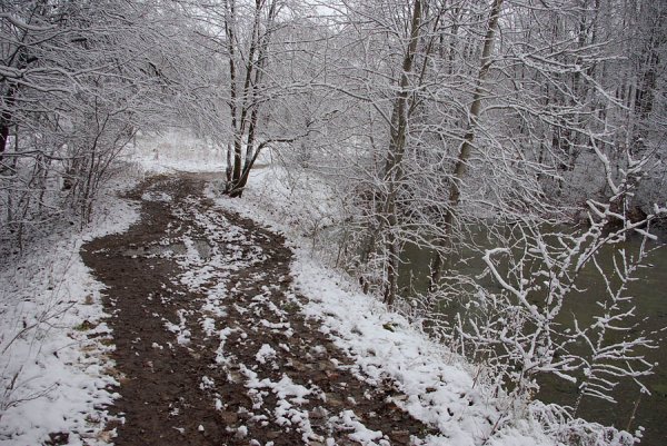 Поздняя осень грязь
