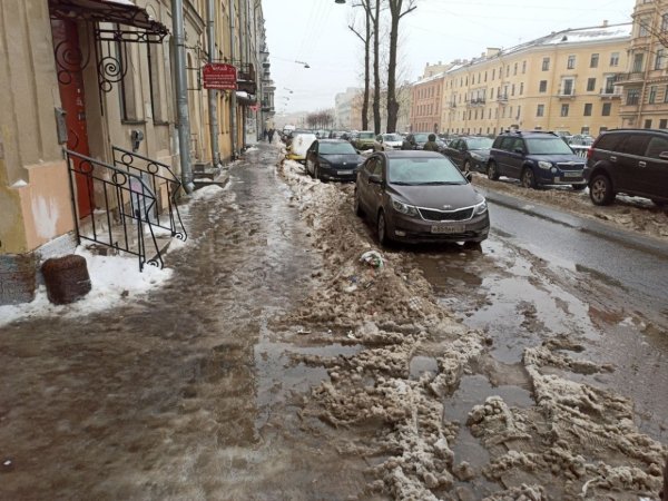 Санкт-Петербург слякоть