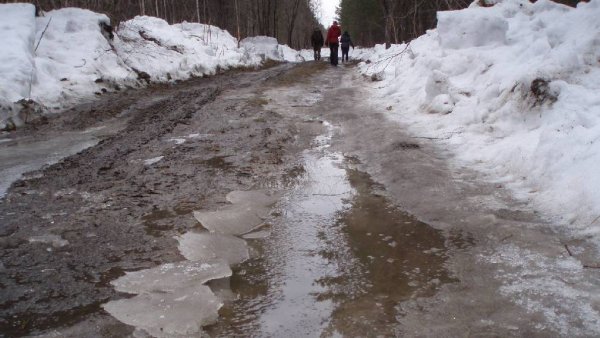 Грязный снег на дороге