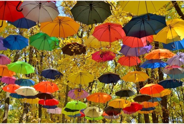 Осенний зонт