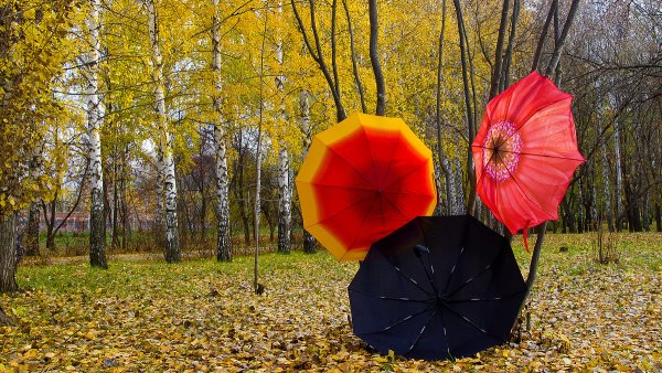 Зонтик на природе