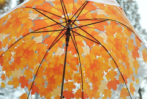 Зонт с осенними листьями