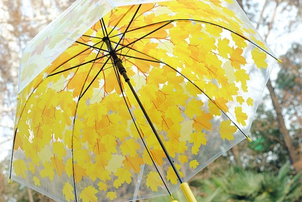 Зонт с листьями