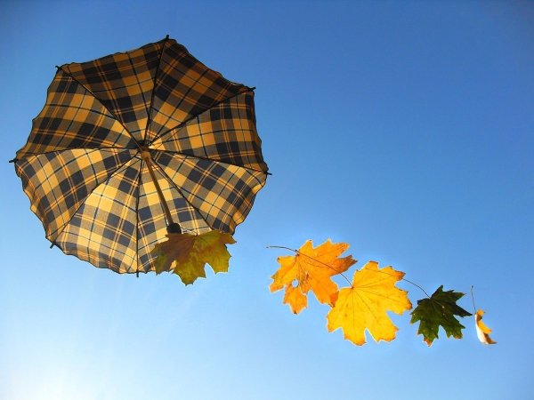 Зонтик с листьями