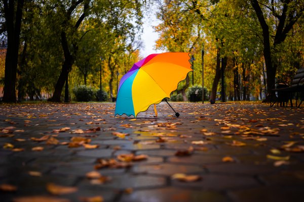 Осенний зонтик