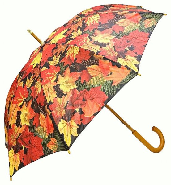 Зонт с осенними листьями