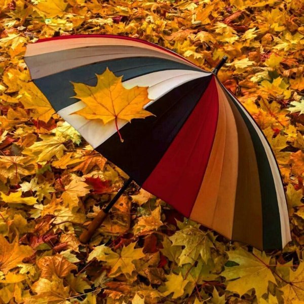 Зонт с осенними листьями