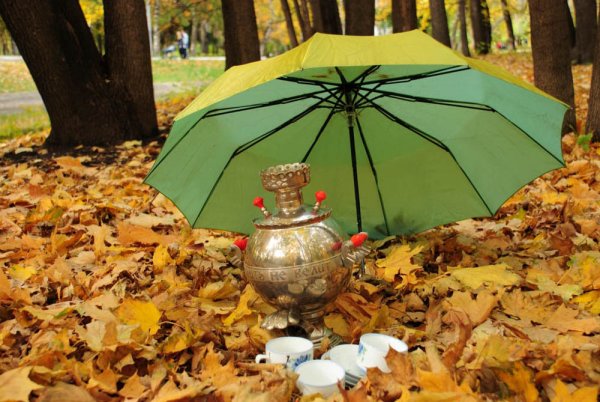 Осенний зонтик
