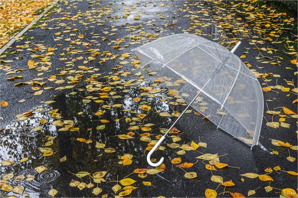 Дождь осенью