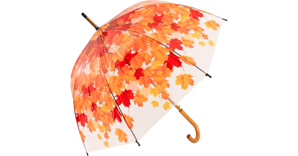 Осенний зонтик