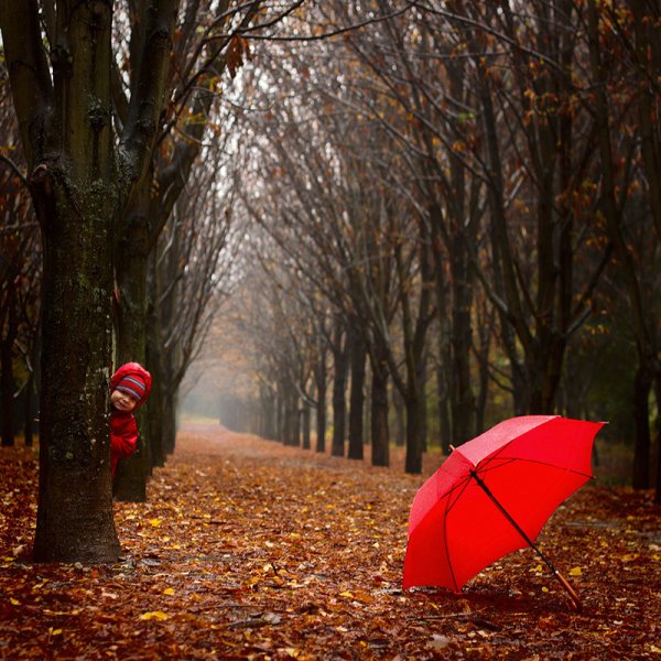 Осень зонтик