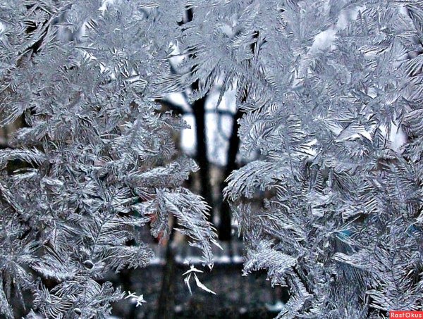 Иней на окне