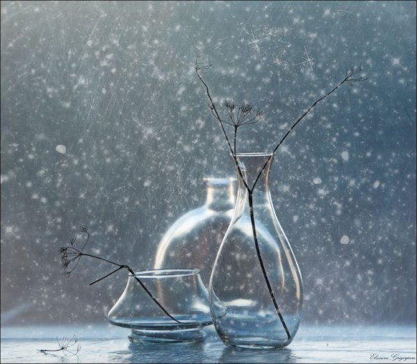 Натюрморт на снегу