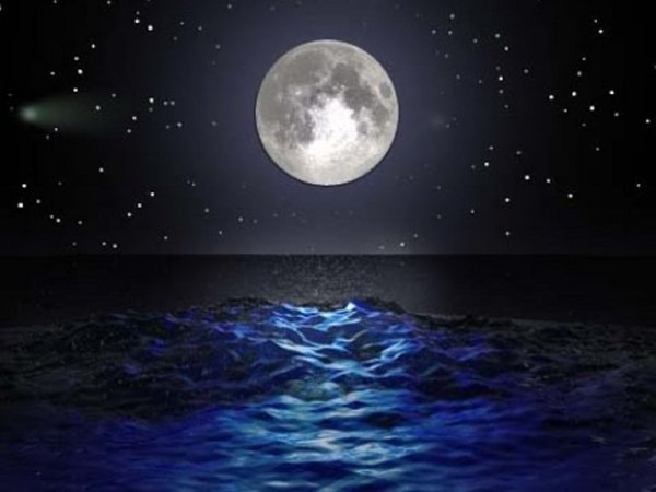 Прилив в полнолуние