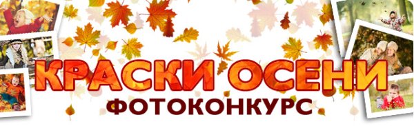 Краски осени конкурс фотографий