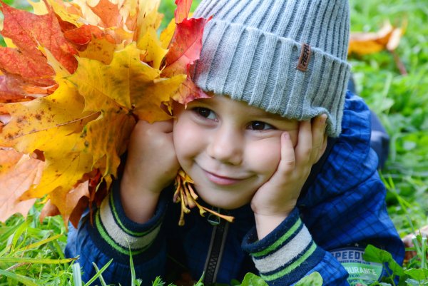 Золотая осень для детей