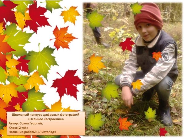 Конкурс фотографий осень