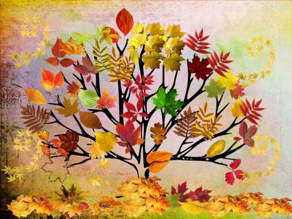 Выставка осеннее дерево в детском саду