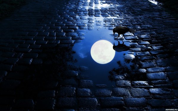 Отражение Луны в луже