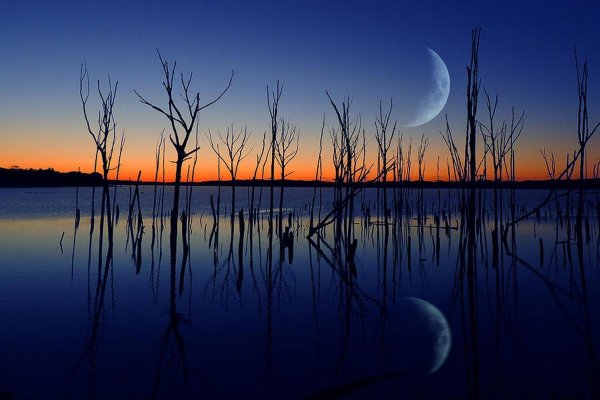 Отражение Луны в воде