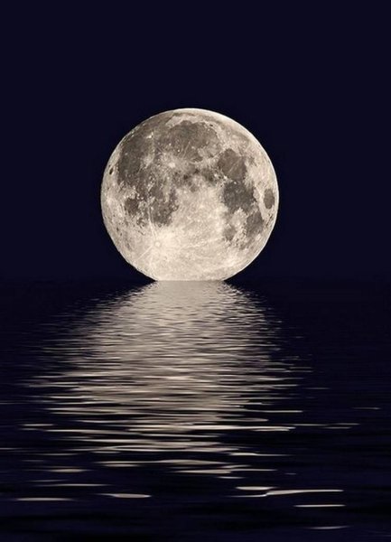 Лунный свет