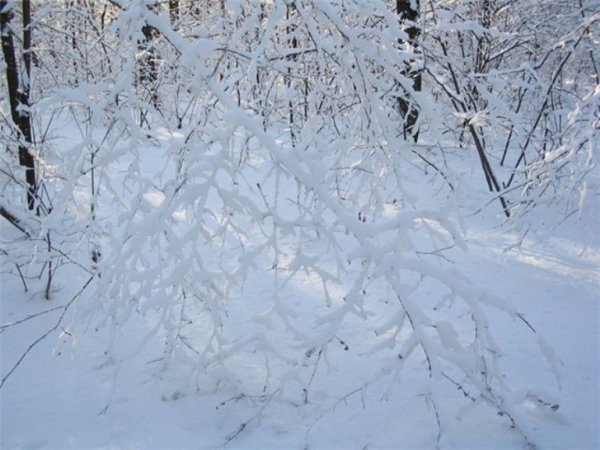 Открытка снегу намело