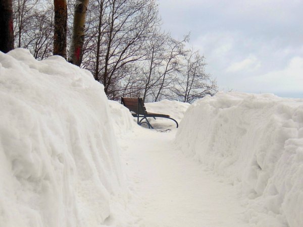 Много снега намело