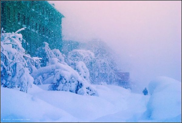 Зима Метелица