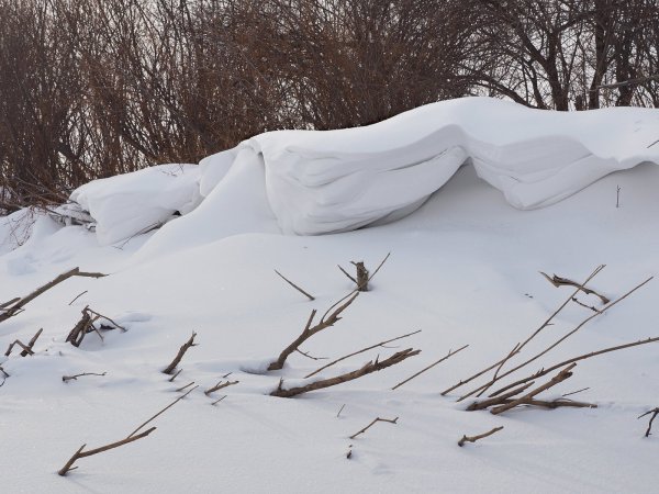 По твердому гребню сугроба