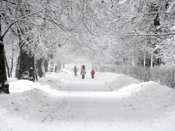 Снег ночью в городе
