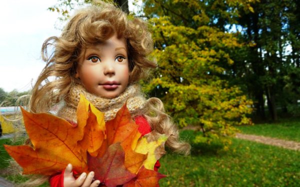 Куколка осень