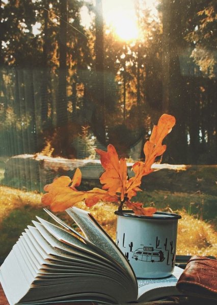 Книги про осень