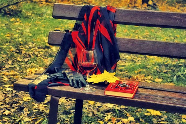 Осенний плед и скамейка