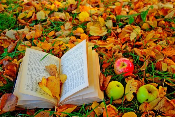 Осенняя книга