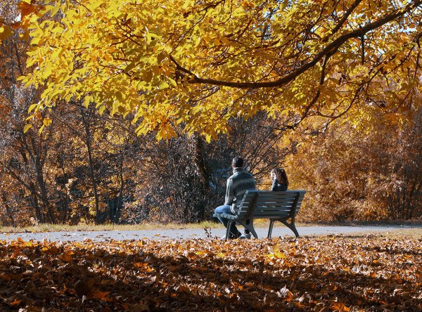 Осенний парк с людьми