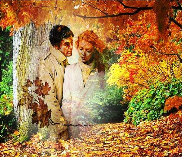 Листопад любовь