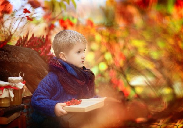 Осеннее чтение