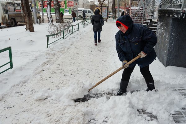 Продает снежки