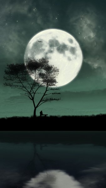 Одиночество в ночи