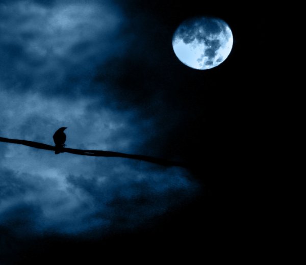 Лунный человек