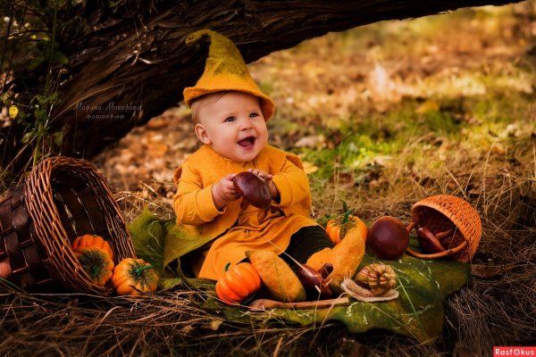 Осенний гномик